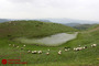 طبیعت بهاری تالش