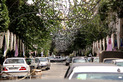 آماده سازی شهر در آستانه نیمه شعبان