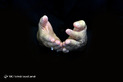 نماز جمعه تهران 