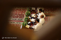 مراسم ترتیل خوانی قرآن کریم در حرم مطهر شاهچراغ(ع) - شیراز