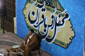 مراسم جزء خوانی و محفل انس با قرآن در حرم مطهر سیدعلاالدین حسین(ع)