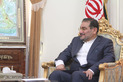 دیدار آمانو با شمخانی