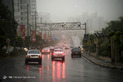 بارش باران در استان البرز
