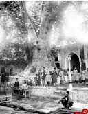 امام زاده صالح دوران قاجار