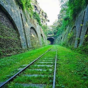 ریل سر سبز رویایی
