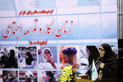 همایش زنان، کار و توسعه اجتماعی‎
