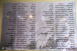 افتتاح سلامتکده طوبی