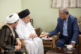 دیدار وزیر کار و رفاه اجتماعی با مراجع - قم
