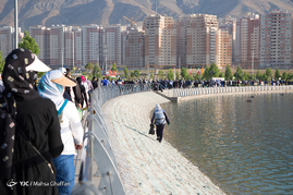 همایش پیاده‌روی خانوادگی بازنشستگان
