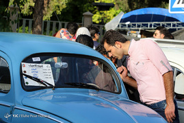 گردهمایی خودروهای کلاسیک فولکس واگن در شیراز
