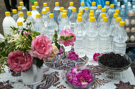 جشنواره گل محمدی - ساری
