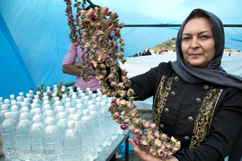 جشنواره گل محمدی - ساری
