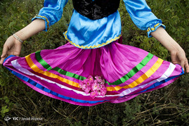 جشنواره گل محمدی - ساری
