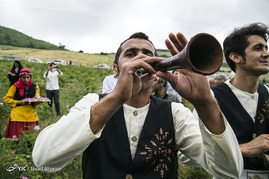 جشنواره گل محمدی - ساری
