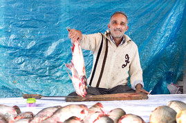 کسبه بازار سنتی شهر فومن
