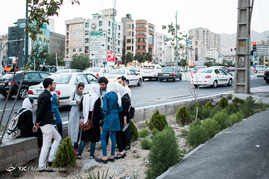 فروش هفتصد شاخه گل به نفع کودکان کار

