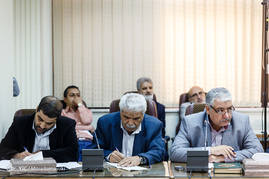 نشست خبری سخنگوی قوه قضائیه
