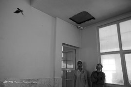 ساکنين بريده از مدعيان عقل و خرد
