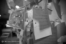 ساکنين بريده از مدعيان عقل و خرد

