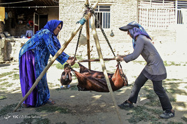 زندگی روستایی یک زن بختیاری

