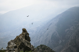 محیط بانان منطقه 