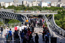 همایش دوی همگانی