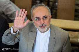 علی‌اکبر صالحی رئیس سازمان انرژی اتمی