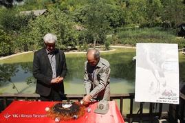 تولد جوجه درنای خاکستری آفریقایی در باغ پرندگان تهران‎
