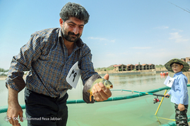 دومین جشنواره ماهیگری استان قم‎
