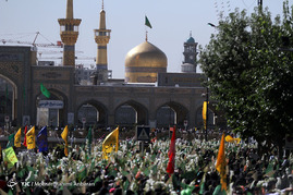 گلباران حرم رضوی در سالروز میلاد حضرت معصومه(س) و روز دختر‎
