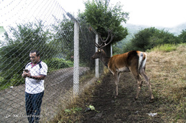 سایت نگهداری گوزن مارال در ارسباران‎
