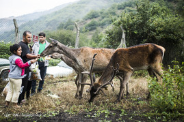 سایت نگهداری گوزن مارال در ارسباران‎
