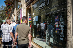 سقوط آزاد قیمت ارز