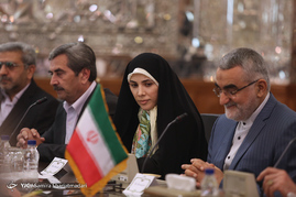 دیدار لاریجانی با رییس مجلس ملی فرانسه