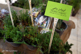 سومین جشنواره و نمایشگاه ملی گیاهان دارویی، فرآورده های طبیعی و طب سنتی ایران