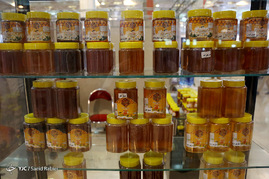 سومین جشنواره و نمایشگاه ملی گیاهان دارویی، فرآورده های طبیعی و طب سنتی ایران