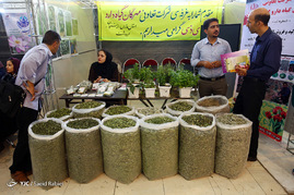 سومین جشنواره و نمایشگاه ملی گیاهان دارویی، فرآورده های طبیعی و طب سنتی ایران