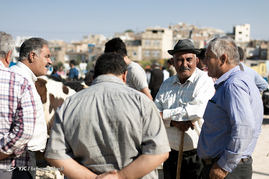بازار خرید و فروش دام‎ در روز عید قربان - تبریز