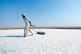 استخراج نمک در هند

