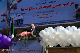 جشن شکوفه ها
