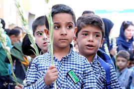 جشن شکوفه ها - شیراز