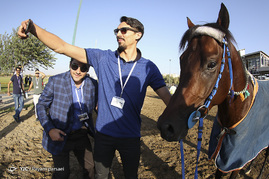 کورس اسبدوانی تهران‎