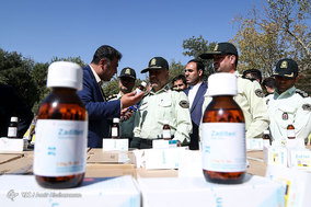 دستگیری سارقان و قاچاقچیان کالا و ارز