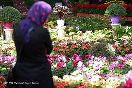 نمایشگاه فصلی گل و گیاه تهران‎
