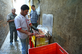 شیوه غیر اصولی نگهداری و عرضه ماهی