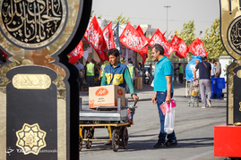 نمايشگاه عطر سيب