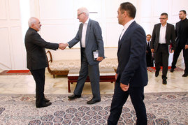 دیدار وزیر سابق امور خارجه سوئد با محمد جواد ظریف