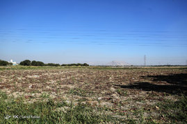 آبیاری سبزی کاری های جنوب تهران با آب آلوده