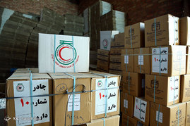 ارسال 60 تن دارو و کالای بهداشتی به کربلای معلی 