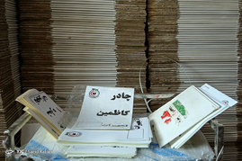 ارسال 60 تن دارو و کالای بهداشتی به کربلای معلی 